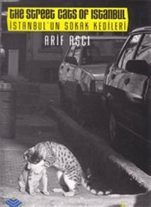 İstanbulun Sokak Kedileri