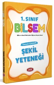Data 1. Sınıf Bilsem Tamamı Çözümlü Şekil Yeteneği 2025
