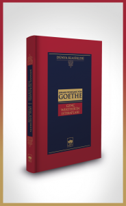 Genç Werther'in Istırapları