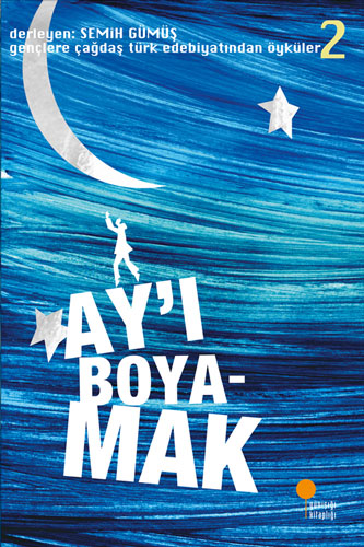 Ayı Boyamak